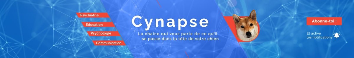 CYNAPSE