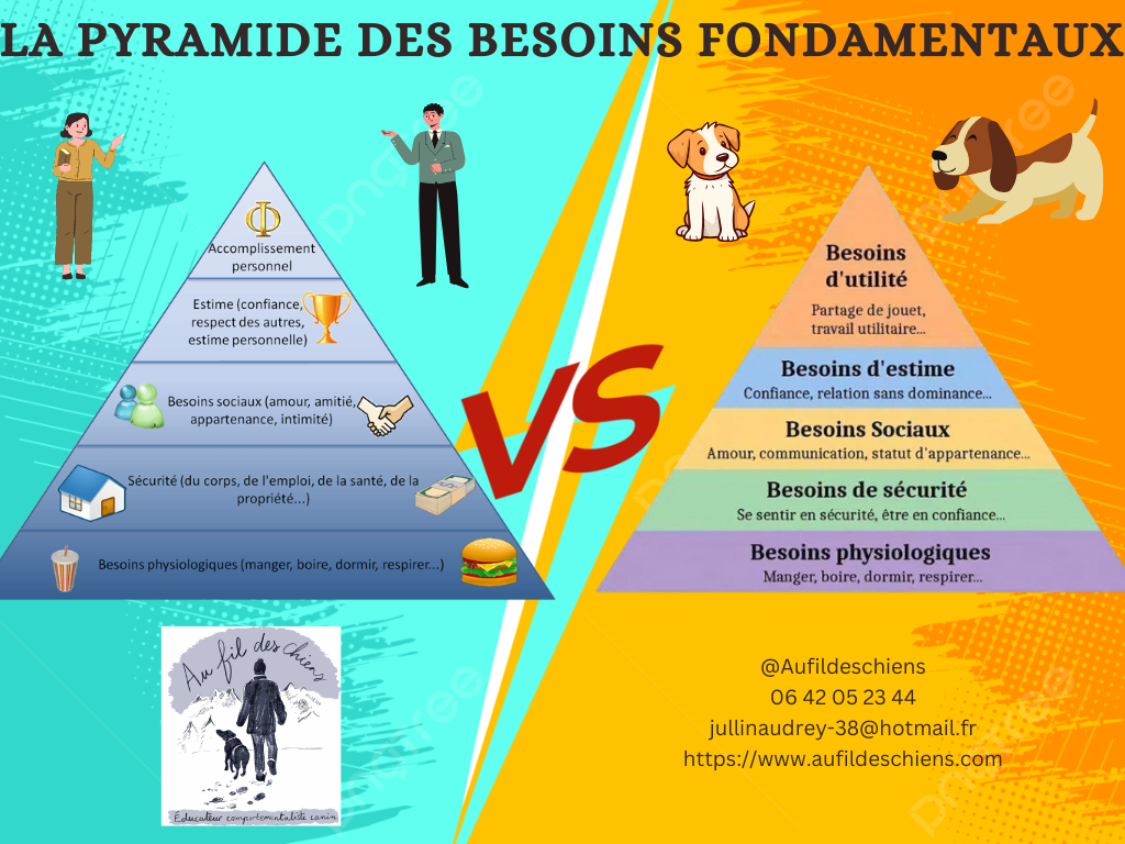 Voici les quatre grands piliers qui composent cette "cocotte-minute"